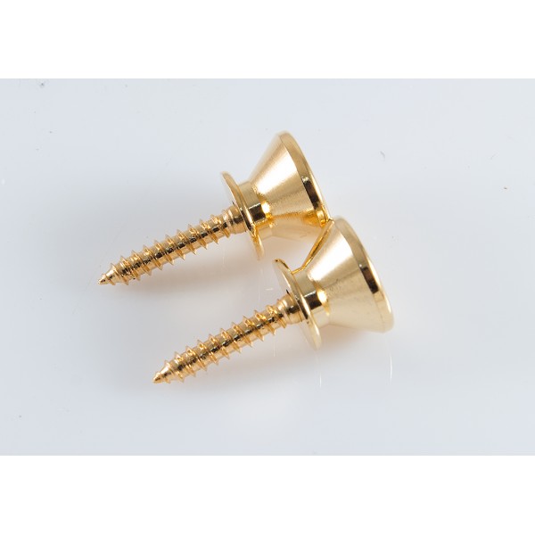 Strap Pin EP-B2-ฺGG